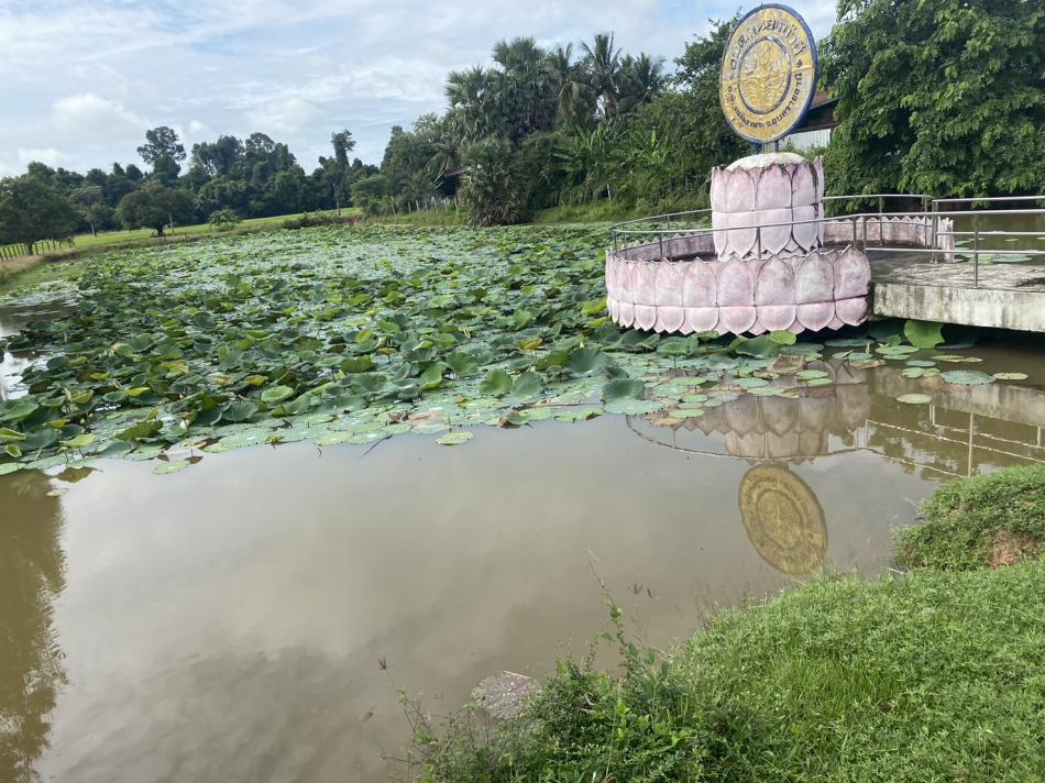 ปรับปรุงภูมิทัศน์ รอบบริเวณหนองบัว บ้านหนองบัวฮีน้อย หมู่ที่ 1